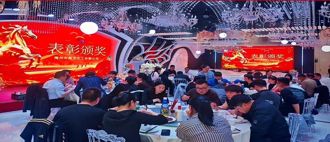 騏驥開道,奮進(jìn)新篇 | 海龍化工2025年終工作總結(jié)表彰暨團(tuán)年晚宴圓滿落幕